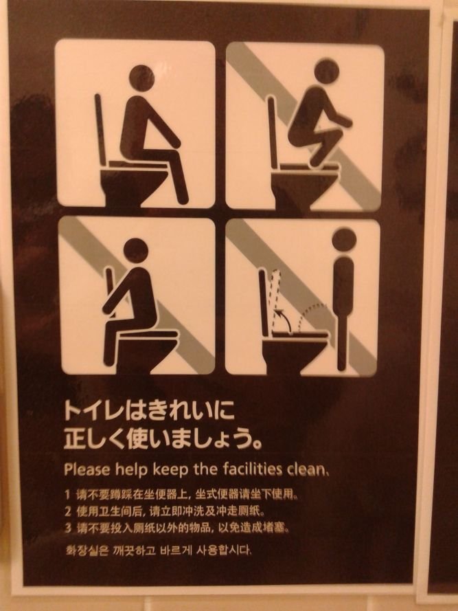 Cosas que NO debes hacer en un WC de estilo occidental