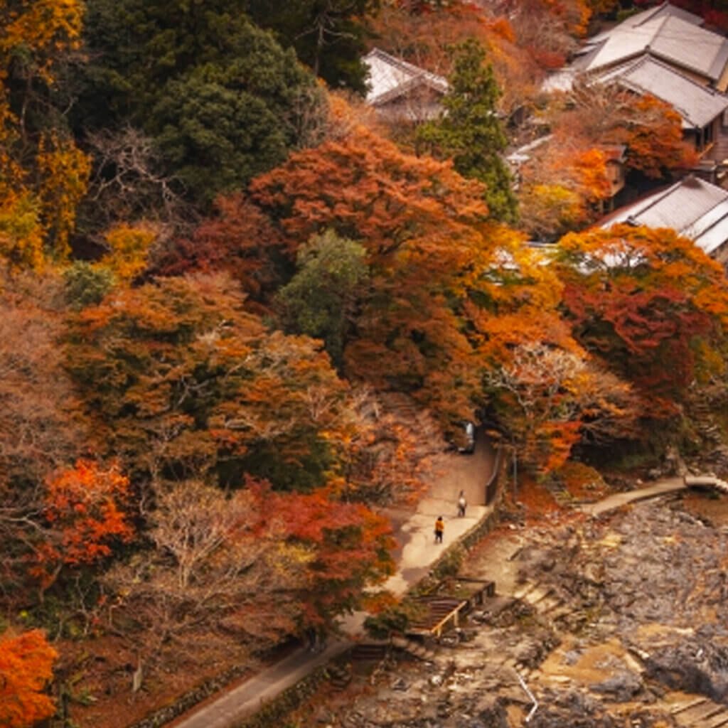 Parque Arashiyama (嵐山公園)